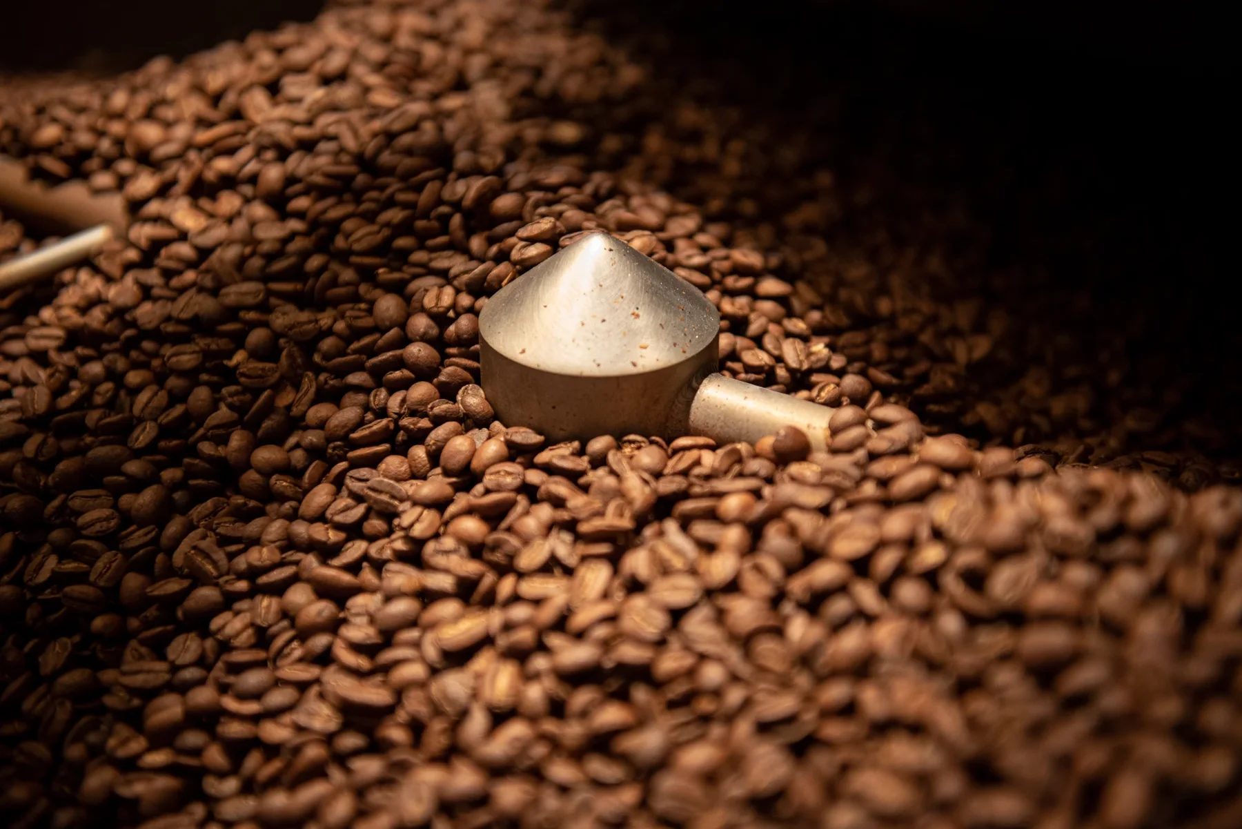 Freshly roasted coffee in the cooling bin
